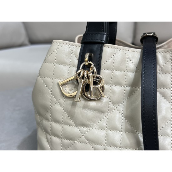 DIOR Toujours