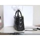Lady-dior