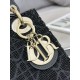 Lady-dior