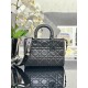 Lady-dior