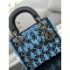 Lady-dior