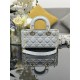 Lady-dior