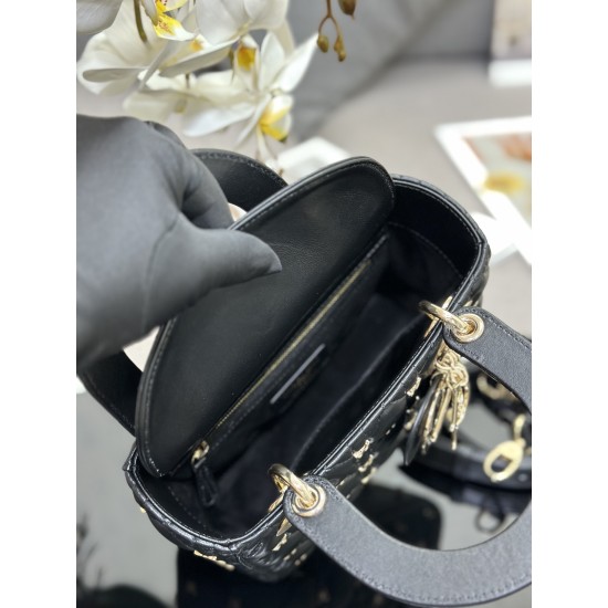 Lady-dior