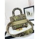 Lady-dior Lady-dior
