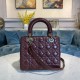 Lady-dior