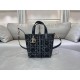 DIOR Toujours