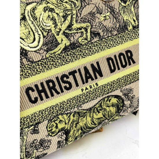 Lady-dior Lady-dior