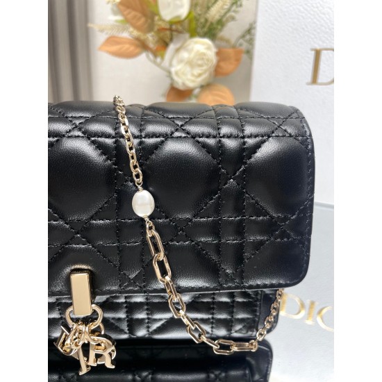 Lady-dior