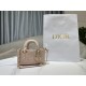 Lady-dior Lady-dior
