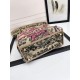 Lady-dior Lady-dior