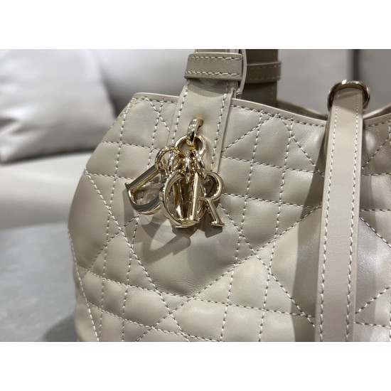 DIOR Toujours