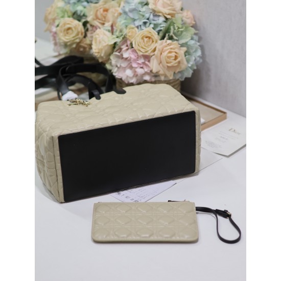 DIOR Toujours