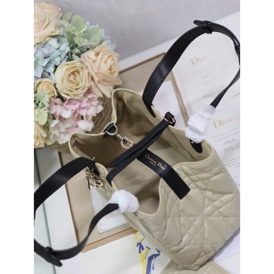 DIOR Toujours