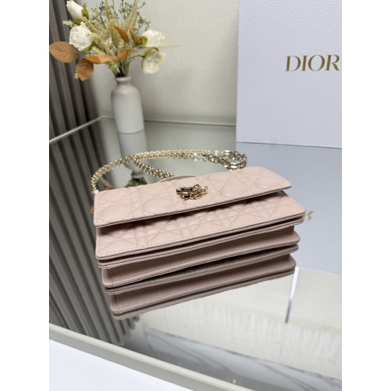 Lady-dior