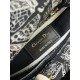 Lady-dior