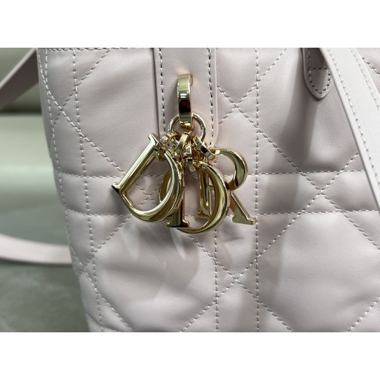 DIOR Toujours