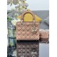 Lady-dior