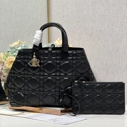 DIOR Toujours
