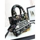 Lady-dior