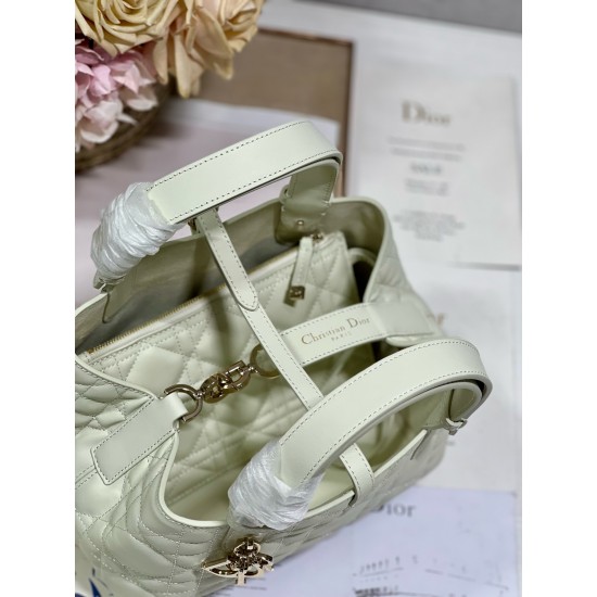 DIOR Toujours