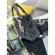 Lady-dior
