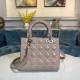 Lady-dior