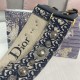 Lady-dior Lady-dior
