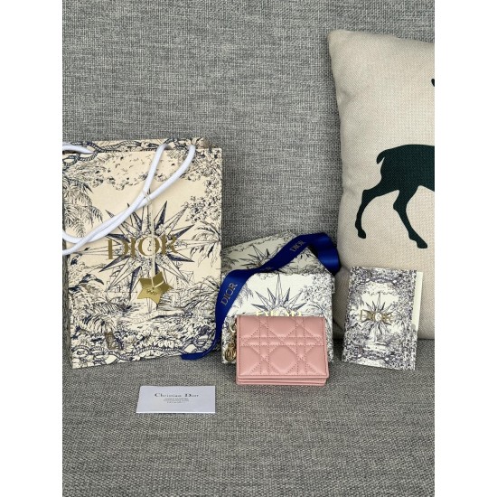 Lady-dior