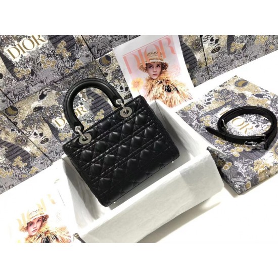 Lady-dior