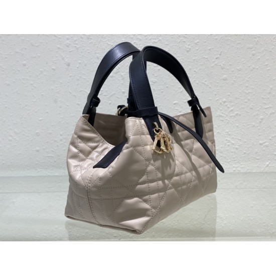 DIOR Toujours