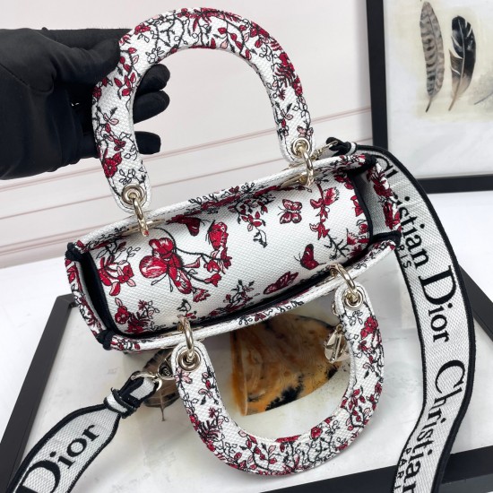 Lady-dior Lady-dior