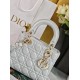 Lady-dior