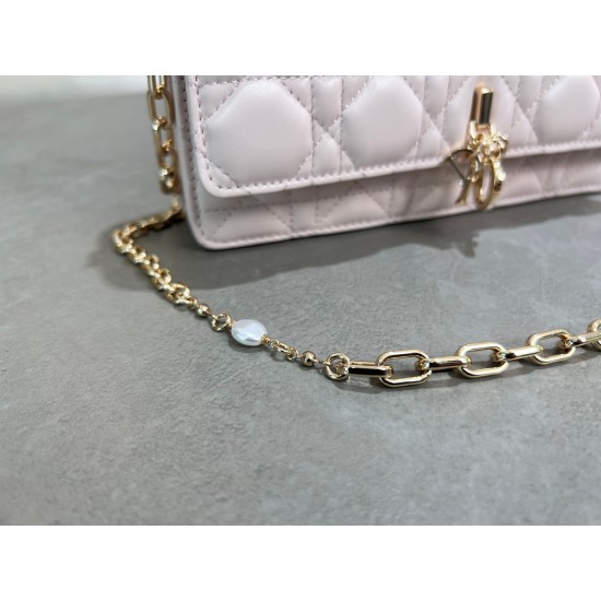 Lady-dior