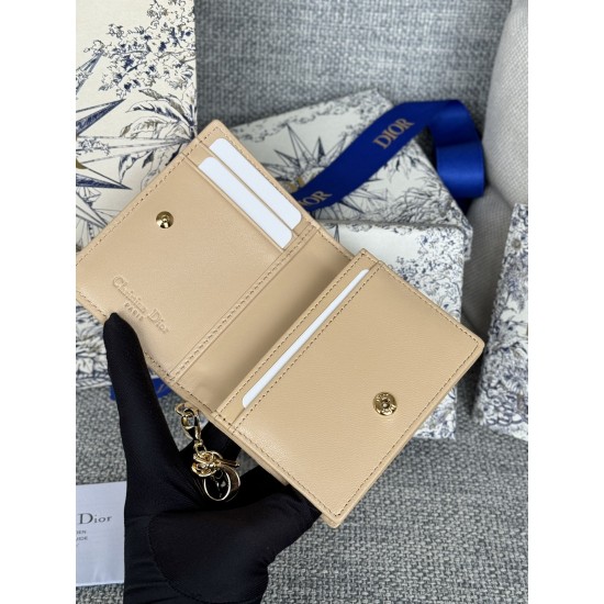 Lady-dior