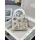 Lady-dior Lady-dior