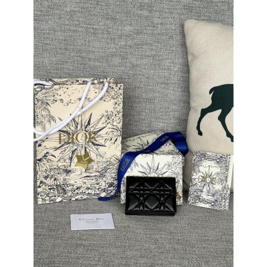 Lady-dior