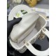 Lady-dior