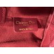 DIOR Toujours