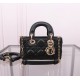 Lady-dior