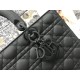 Lady-dior