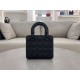 Lady-dior