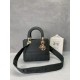 Lady-dior
