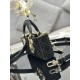 Lady-dior