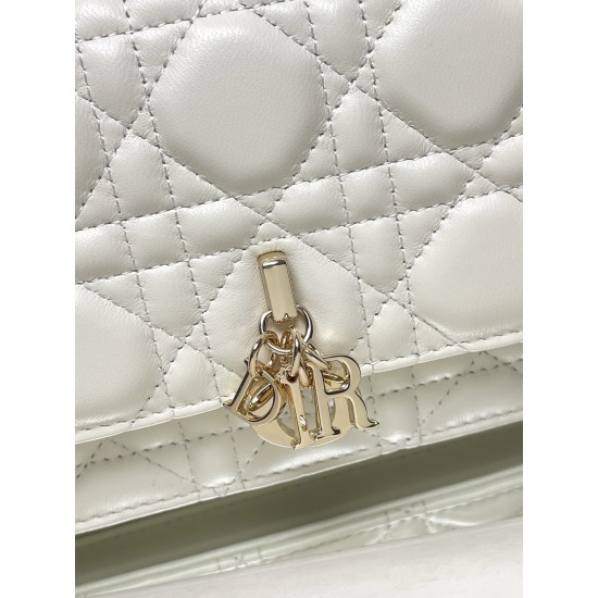 Lady-dior