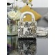 Lady-dior