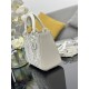 Lady-dior