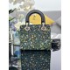 Lady-dior
