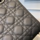 Lady-dior