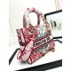 Lady-dior Lady-dior
