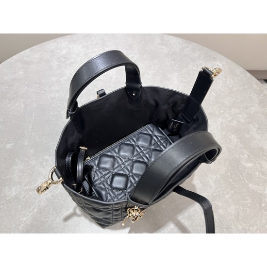 DIOR Toujours
